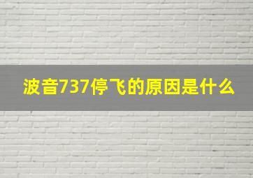 波音737停飞的原因是什么