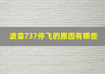 波音737停飞的原因有哪些