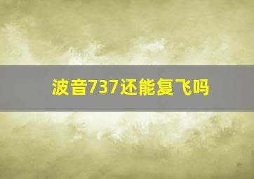 波音737还能复飞吗