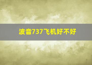 波音737飞机好不好