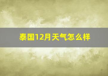 泰国12月天气怎么样