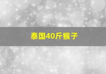 泰国40斤猴子