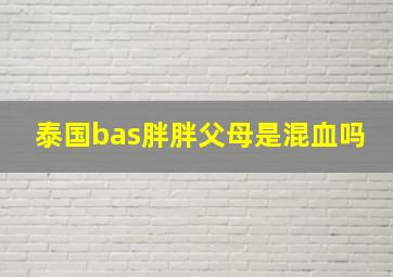 泰国bas胖胖父母是混血吗