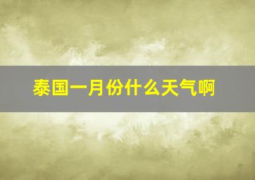 泰国一月份什么天气啊