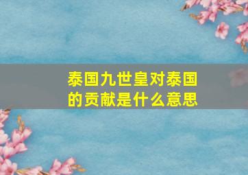 泰国九世皇对泰国的贡献是什么意思