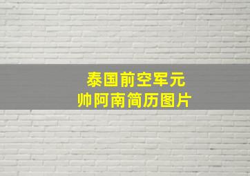 泰国前空军元帅阿南简历图片