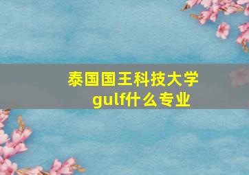 泰国国王科技大学gulf什么专业