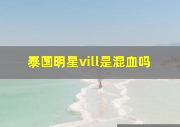 泰国明星vill是混血吗