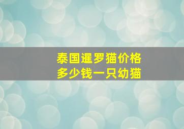 泰国暹罗猫价格多少钱一只幼猫