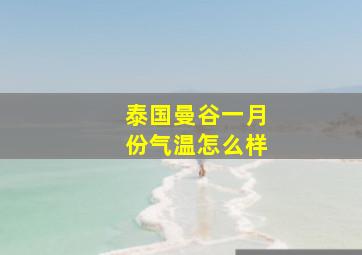 泰国曼谷一月份气温怎么样