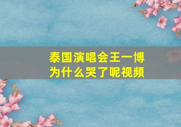 泰国演唱会王一博为什么哭了呢视频