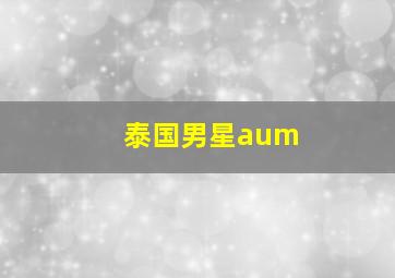 泰国男星aum