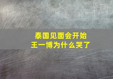 泰国见面会开始王一博为什么哭了