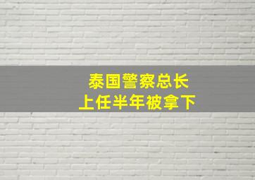 泰国警察总长上任半年被拿下