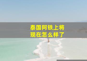 泰国阿铁上将现在怎么样了