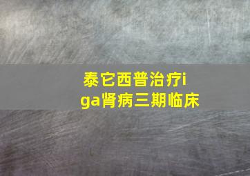 泰它西普治疗iga肾病三期临床