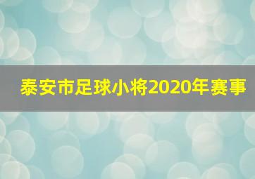 泰安市足球小将2020年赛事