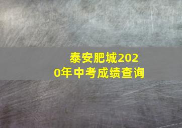 泰安肥城2020年中考成绩查询