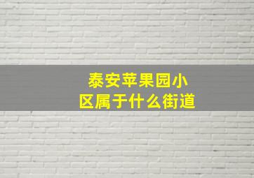 泰安苹果园小区属于什么街道