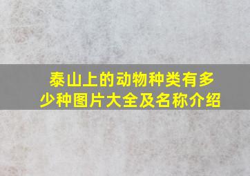 泰山上的动物种类有多少种图片大全及名称介绍