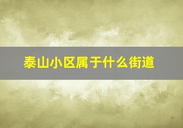 泰山小区属于什么街道