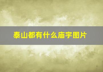 泰山都有什么庙宇图片