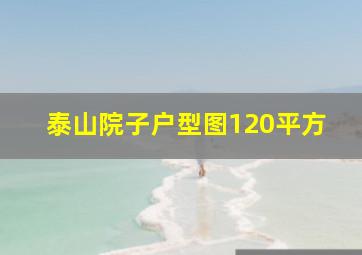 泰山院子户型图120平方