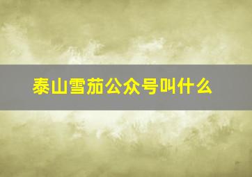 泰山雪茄公众号叫什么