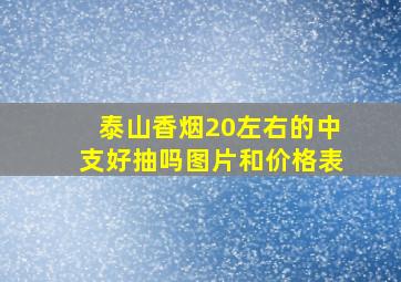 泰山香烟20左右的中支好抽吗图片和价格表