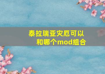 泰拉瑞亚灾厄可以和哪个mod组合