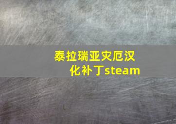 泰拉瑞亚灾厄汉化补丁steam