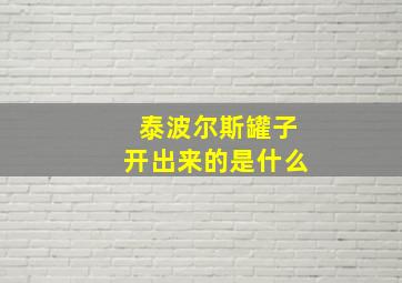 泰波尔斯罐子开出来的是什么