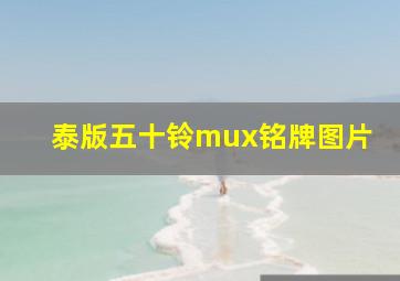 泰版五十铃mux铭牌图片