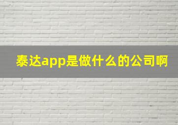 泰达app是做什么的公司啊