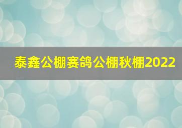 泰鑫公棚赛鸽公棚秋棚2022