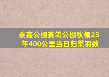 泰鑫公棚赛鸽公棚秋棚23年400公里当日归巢羽数