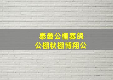 泰鑫公棚赛鸽公棚秋棚博翔公