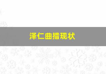 泽仁曲措现状