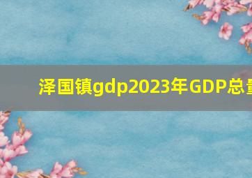 泽国镇gdp2023年GDP总量