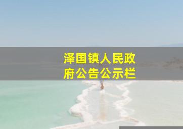 泽国镇人民政府公告公示栏