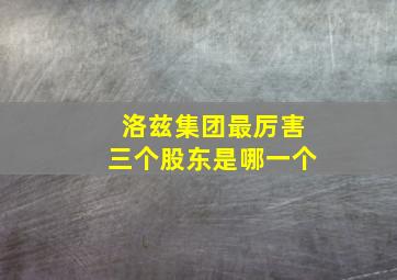 洛兹集团最厉害三个股东是哪一个