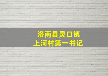 洛南县灵口镇上河村第一书记