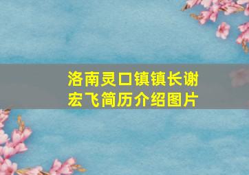 洛南灵口镇镇长谢宏飞简历介绍图片