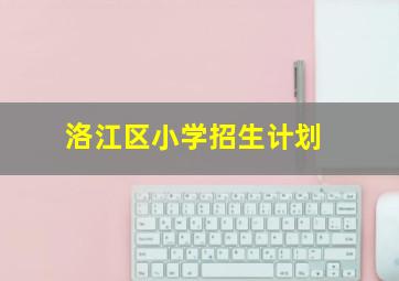 洛江区小学招生计划