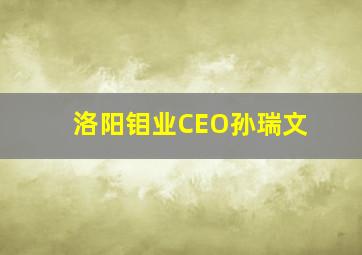 洛阳钼业CEO孙瑞文