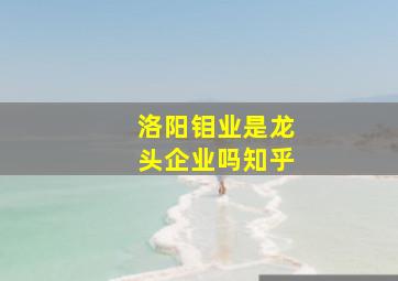 洛阳钼业是龙头企业吗知乎