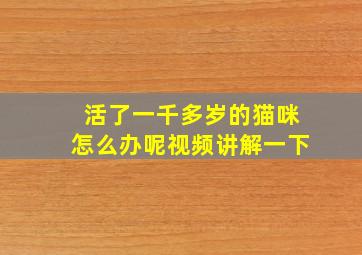 活了一千多岁的猫咪怎么办呢视频讲解一下