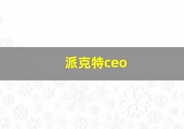 派克特ceo