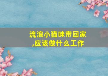 流浪小猫咪带回家,应该做什么工作