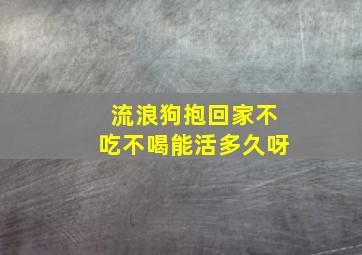 流浪狗抱回家不吃不喝能活多久呀